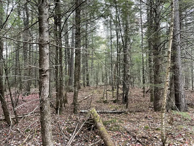 $34,900 | Lot 3 West B W Branch Road, Ellsworth, ME 04605