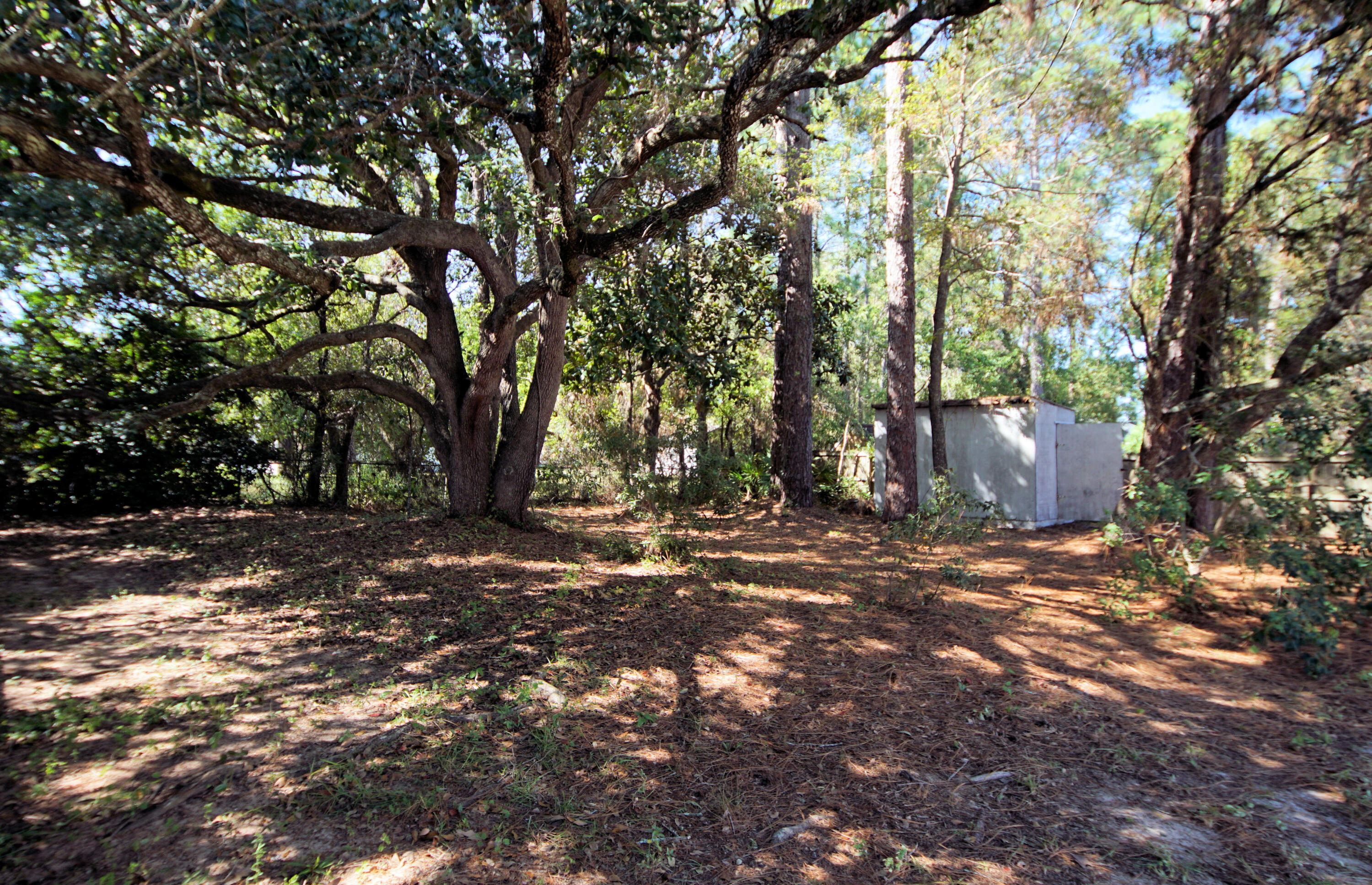 912 Nutmeg Avenue Niceville, FL 32578 - Photo 27 of 30 a backyard of a house with lots of green space