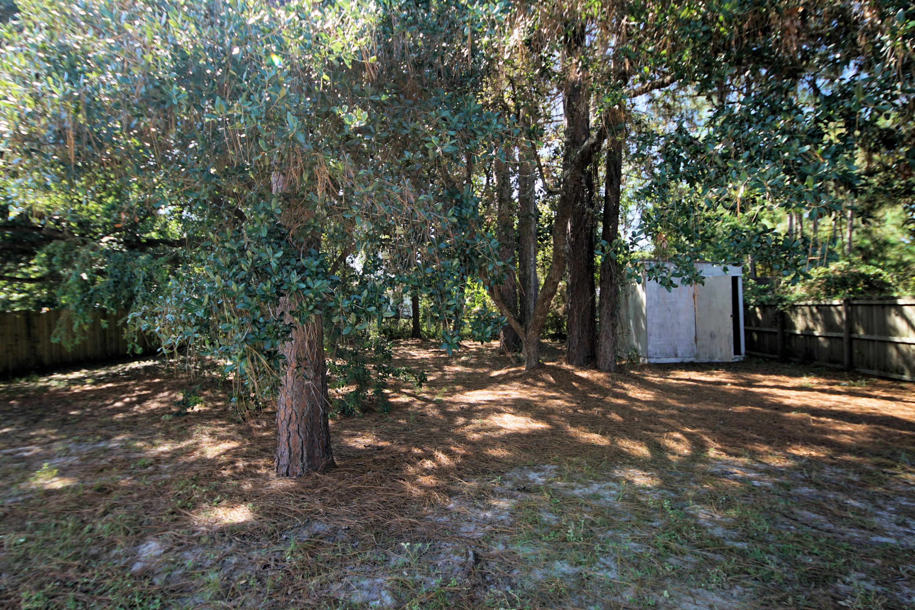 912 Nutmeg Avenue Niceville, FL 32578 - Photo 28 of 30 a view of a tree in the middle of a yard