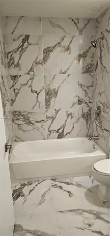 a bathroom with a toilet and a bathtub