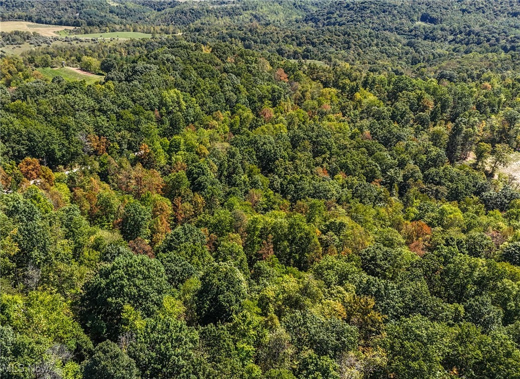 36880 Sheepskin Ridge Road Lower Salem, OH 45745 - Photo 7 of 29 Drone / aerial view