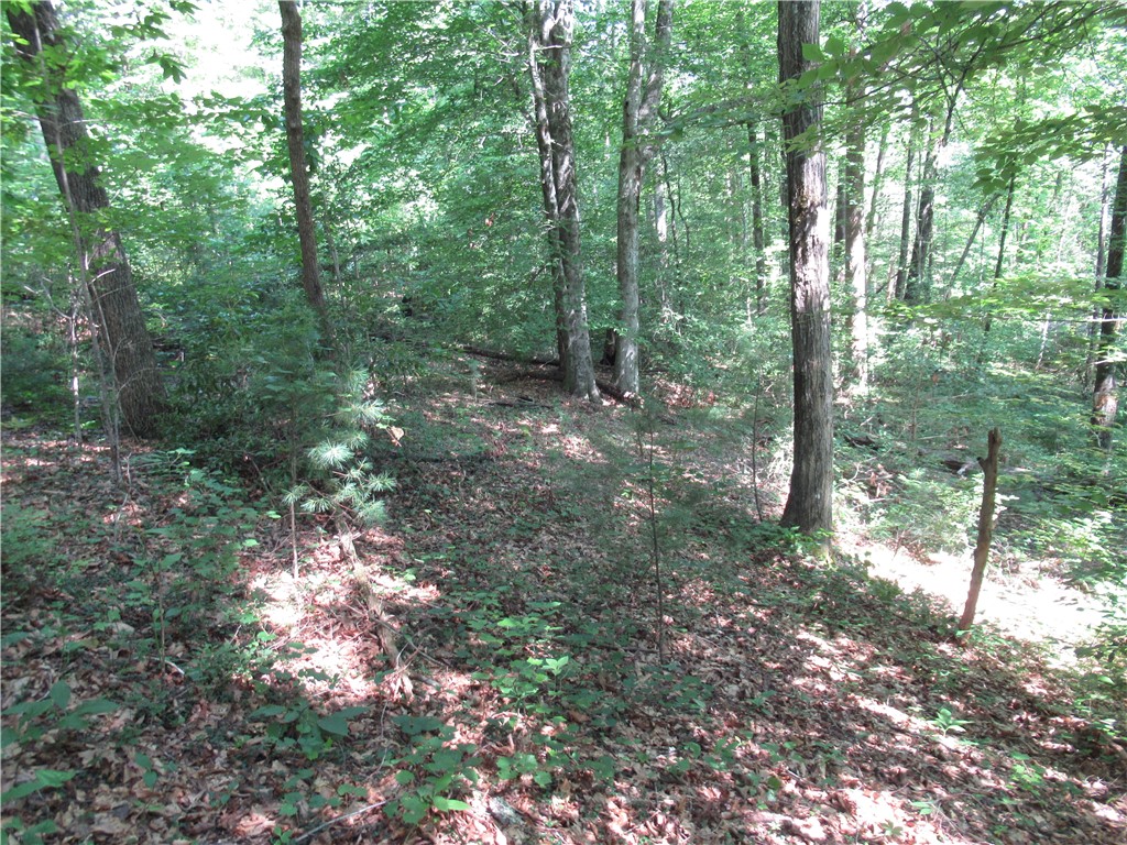0 Gauley Falls Road Pickens, SC 29671 - Photo 20 of 35