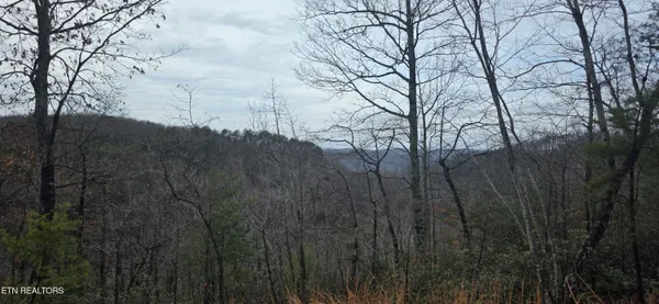 $95,000 | 794 Eastridge Pass, Monterey, TN 38574