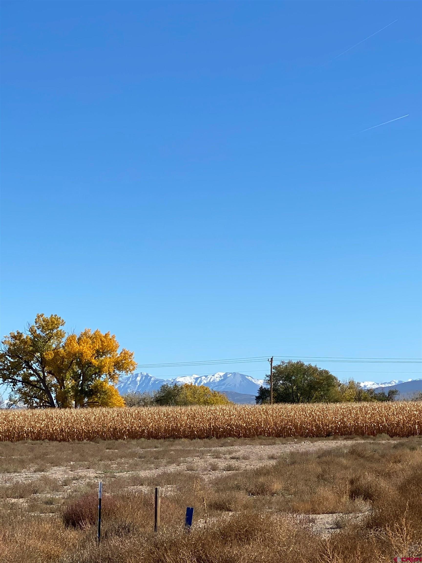 Lot 10 Snaffle Bit Road Delta, CO 81416 - Photo 6 of 7