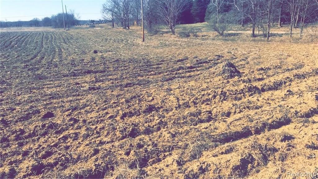 0 Arnold Gregory, MI 48137 - Photo 10 of 10