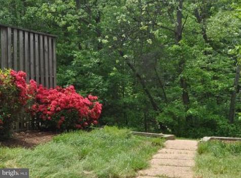 1630 Barnstead Drive Reston, VA 20194 - Photo 11 of 25 Exterior (Rear)