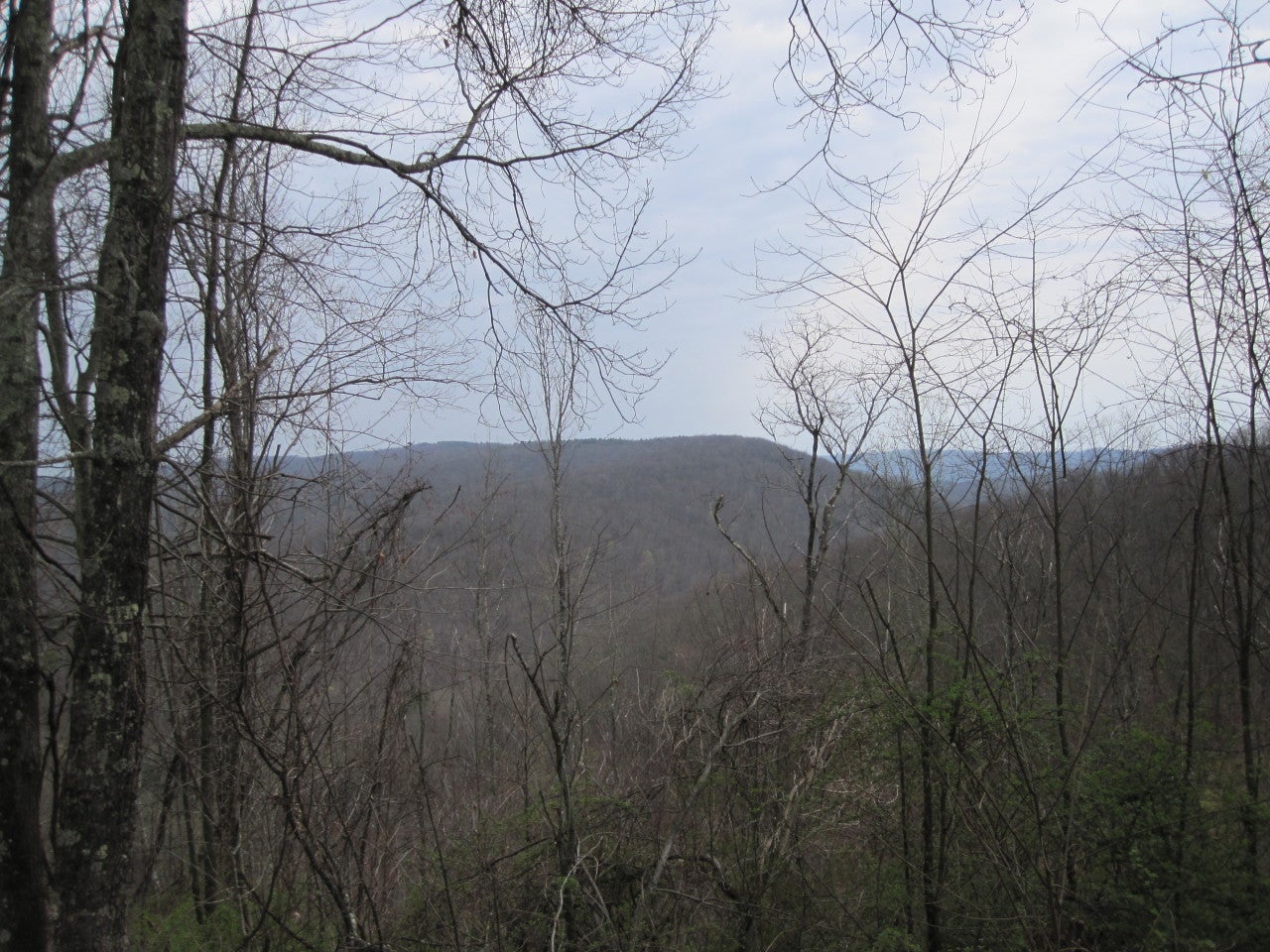 1 Cape Reed Road Renick, WV 24966 - Photo 4 of 16 View looking from the front