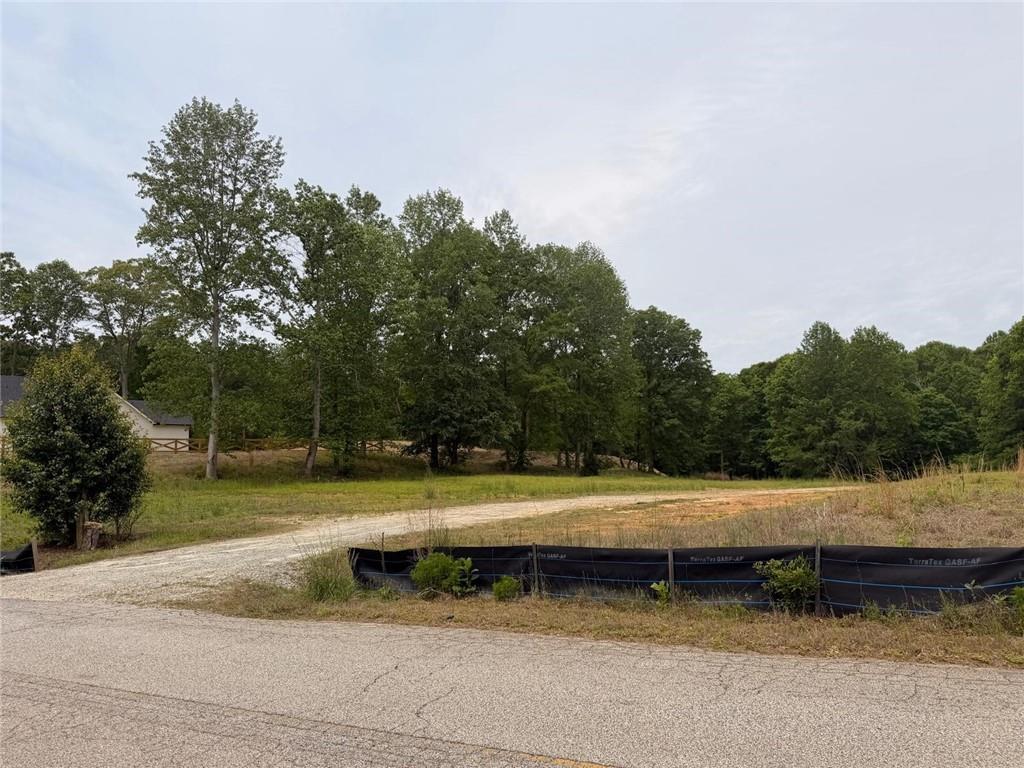 405 Cooper Bridge Road Braselton, GA 30517 - Photo 3 of 6 a view of a yard with plants and trees