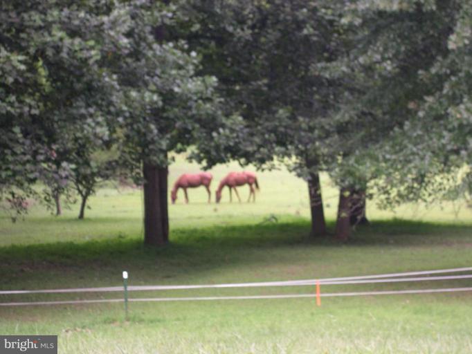3306 Deer Hill Road Street, MD 21154 - Photo 19 of 28 Pasture