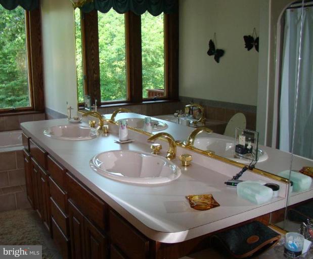 3306 Deer Hill Road Street, MD 21154 - Photo 23 of 28 Master Bath #2