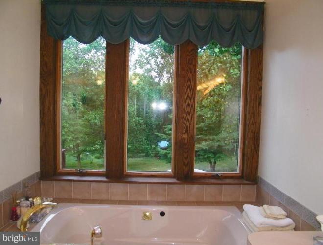 3306 Deer Hill Road Street, MD 21154 - Photo 7 of 28 Master Bath