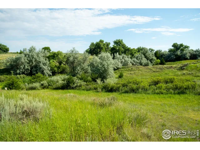 a view of a bunch of trees in a field