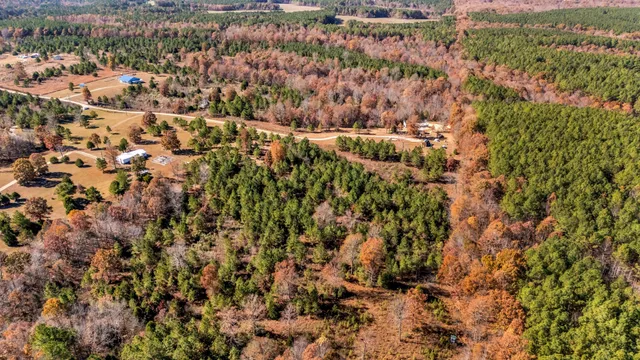 a bathroom with a tub and a window