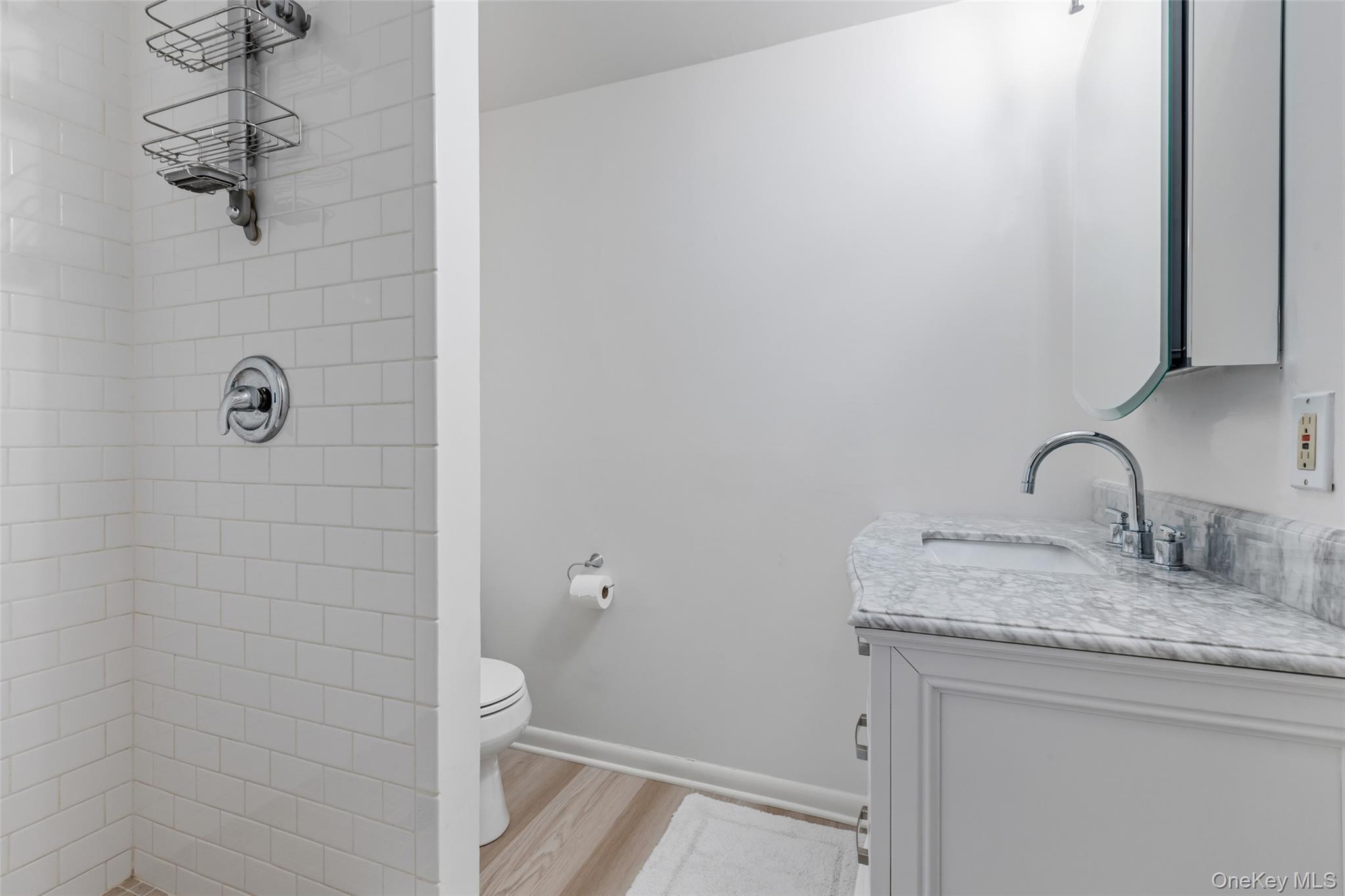 19 Deer Run Road South Salem, NY 10590 - Photo 31 of 43 Lower level full bathroom.