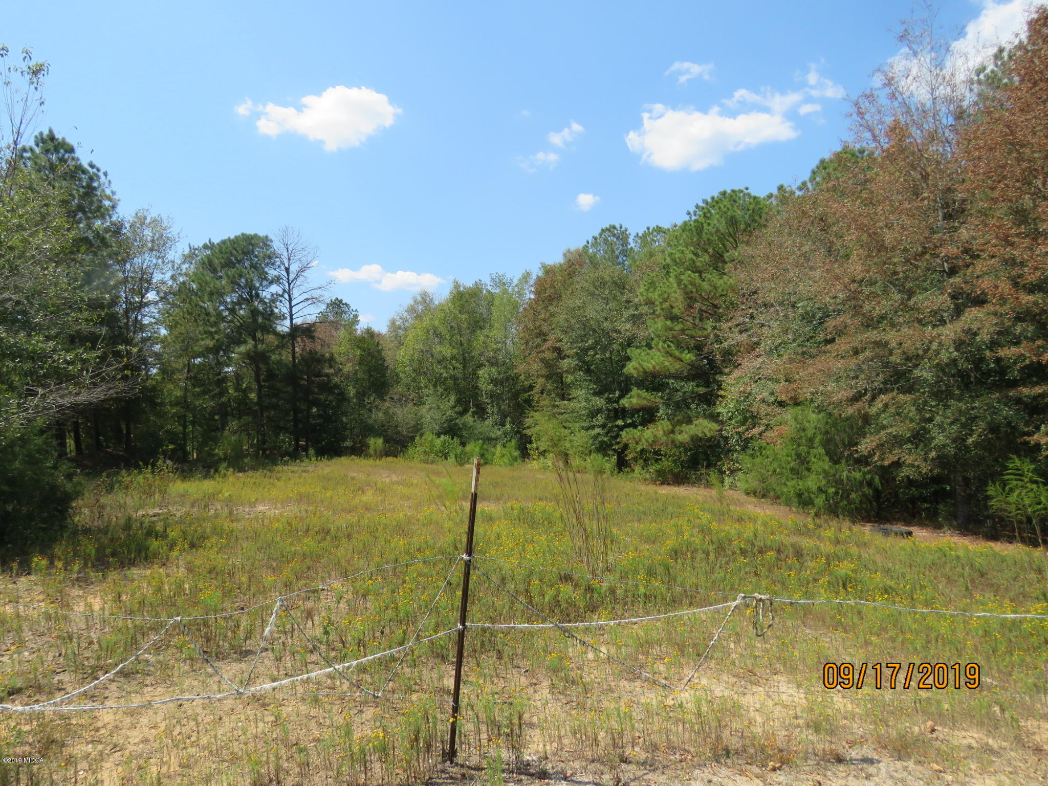 641 Billy White Road Roberta, GA 31078 - Photo 15 of 16 20190917142025