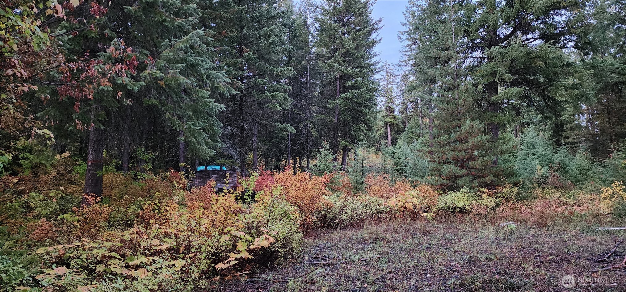2518 Bodie Mountain Road Colville, WA 99114 - Photo 23 of 40