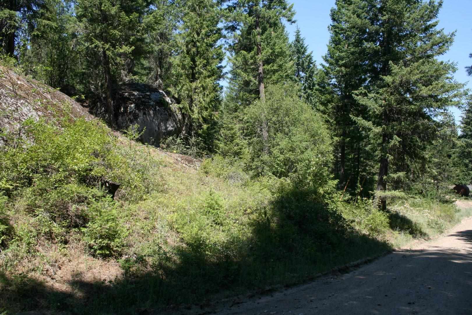 Lot 8 Quartz Road Newport, WA 99156 - Photo 8 of 16