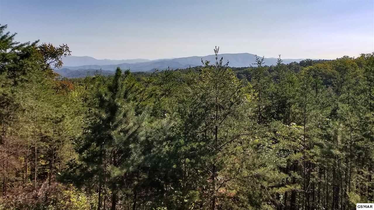 1754 Bluff Ridge Road Sevierville, TN 37876 - Photo 6 of 31