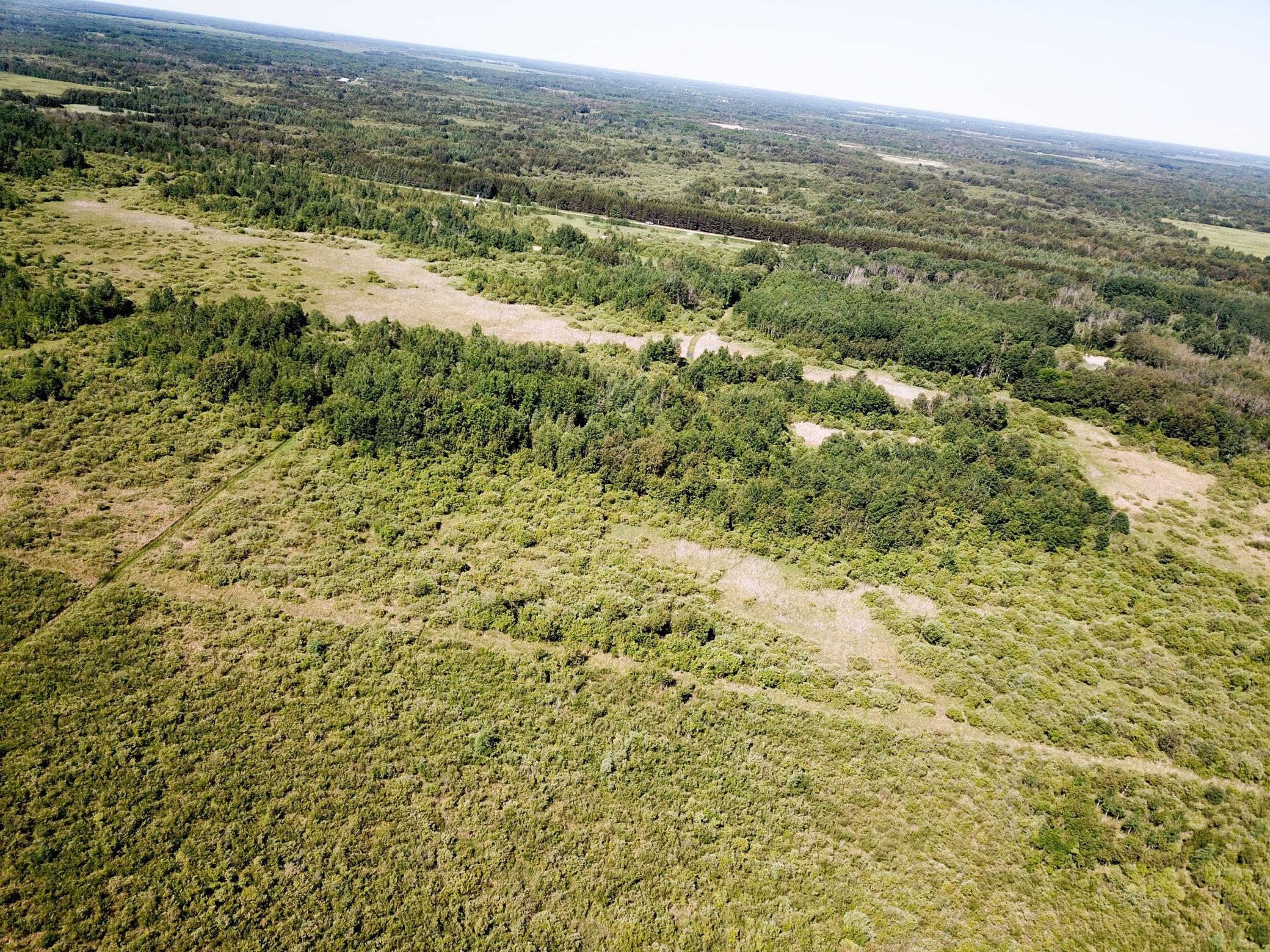 Tbd 440th Avenue Roseau, MN 56751 - Photo 11 of 80