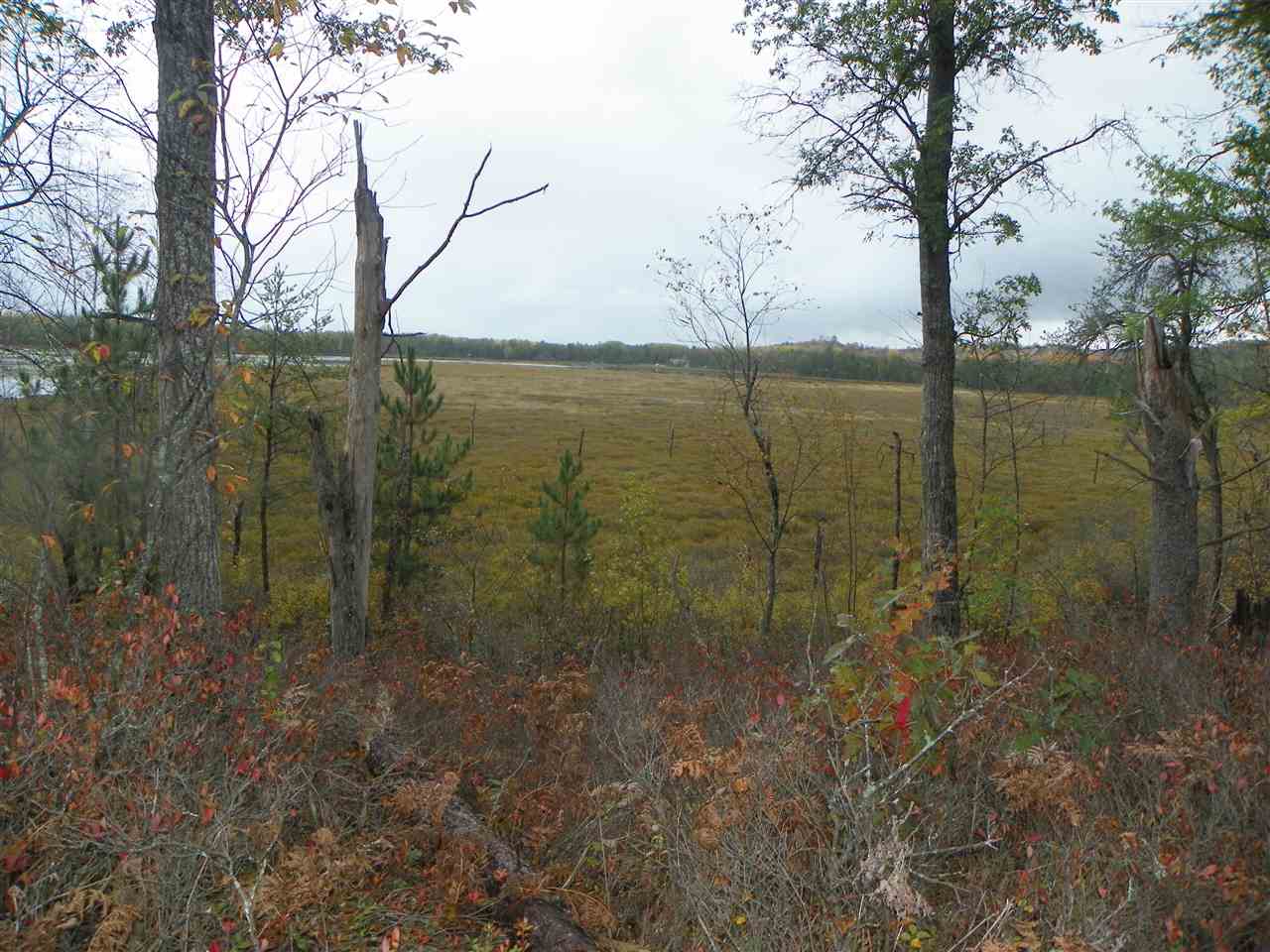 762 State Road Harrison, MI 48625 - Photo 18 of 46
