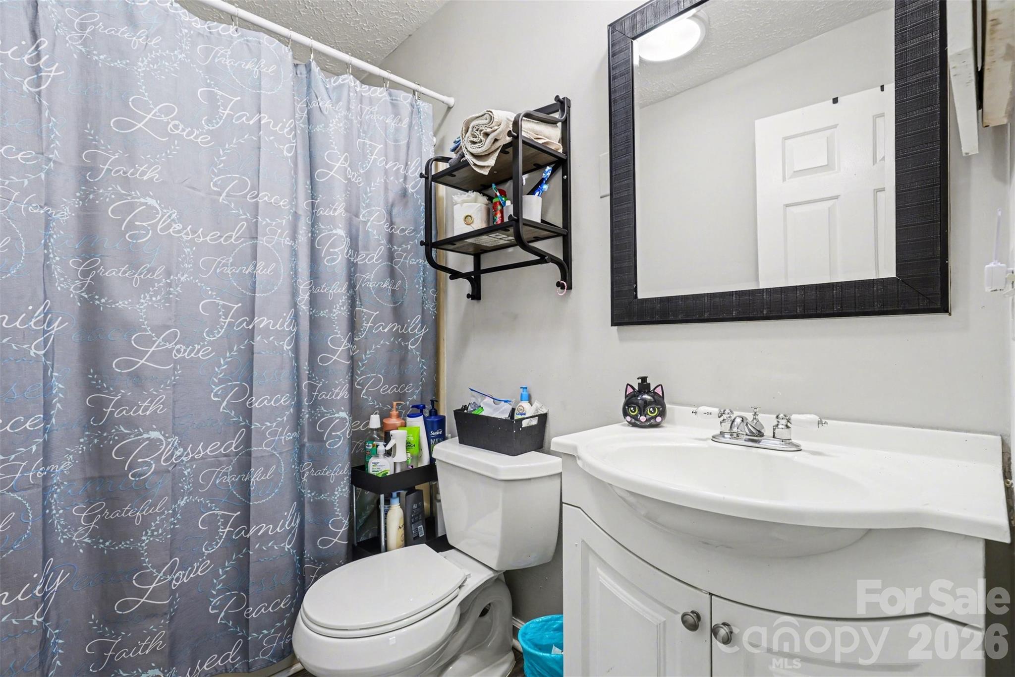 114 State Street Lincolnton, NC 28092 - Photo 21 of 26