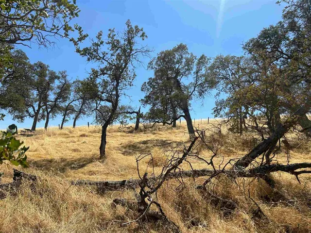 a view of snow on a road