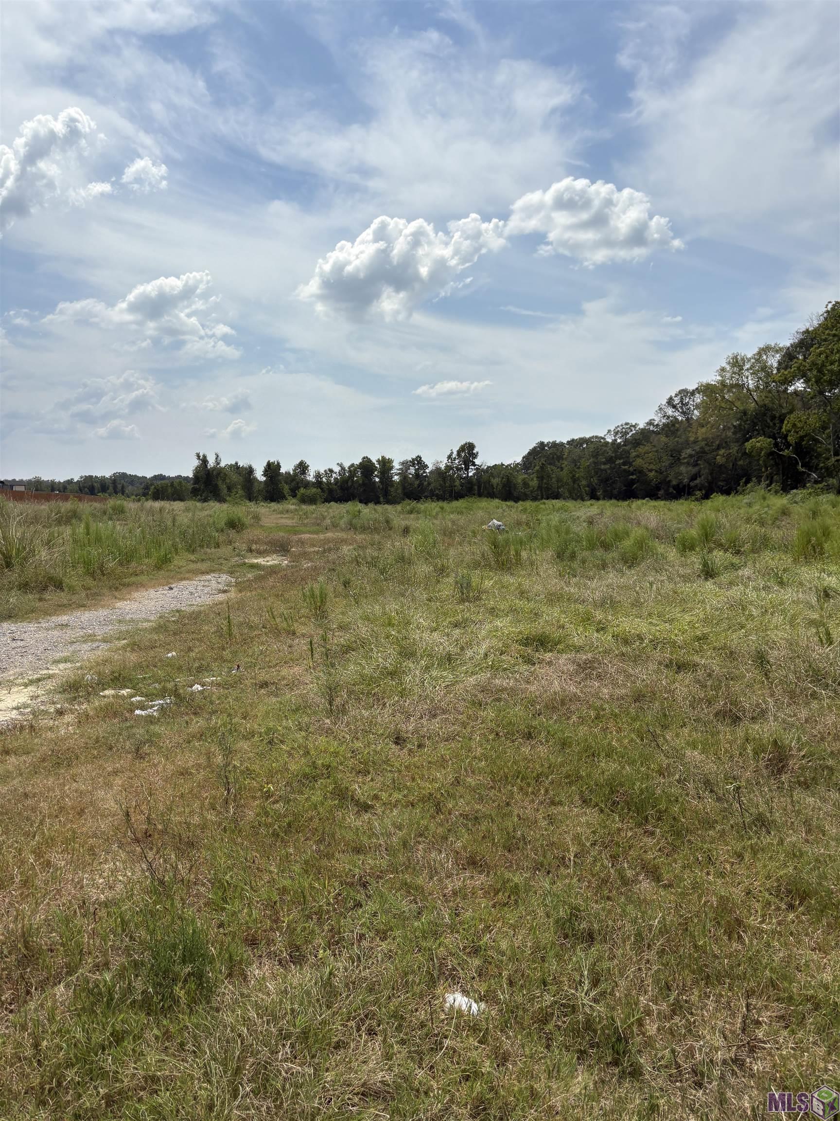 Tbd Lower Zachary Road Zachary, LA 70791 - Photo 3 of 7