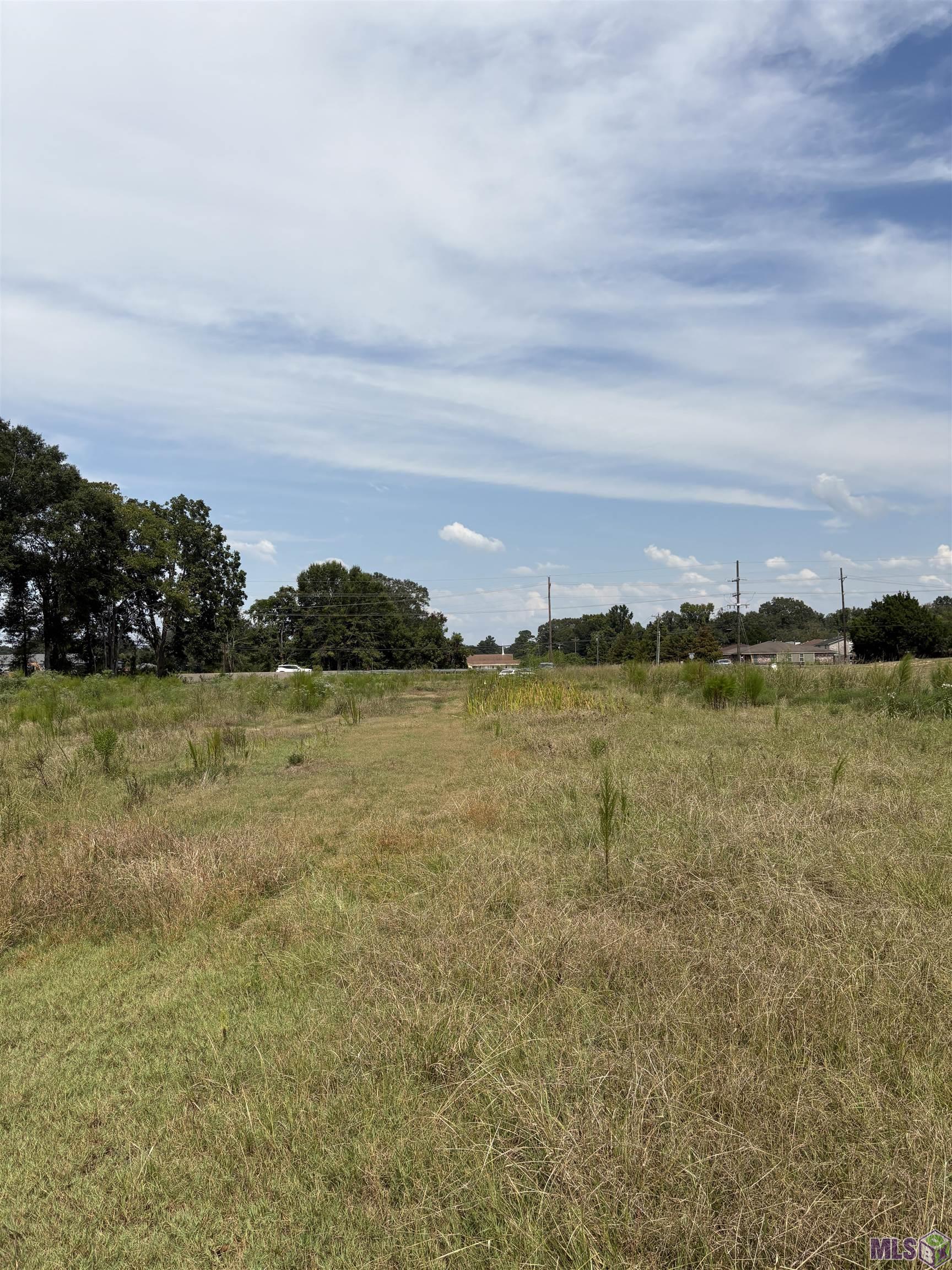 Tbd Lower Zachary Road Zachary, LA 70791 - Photo 4 of 7