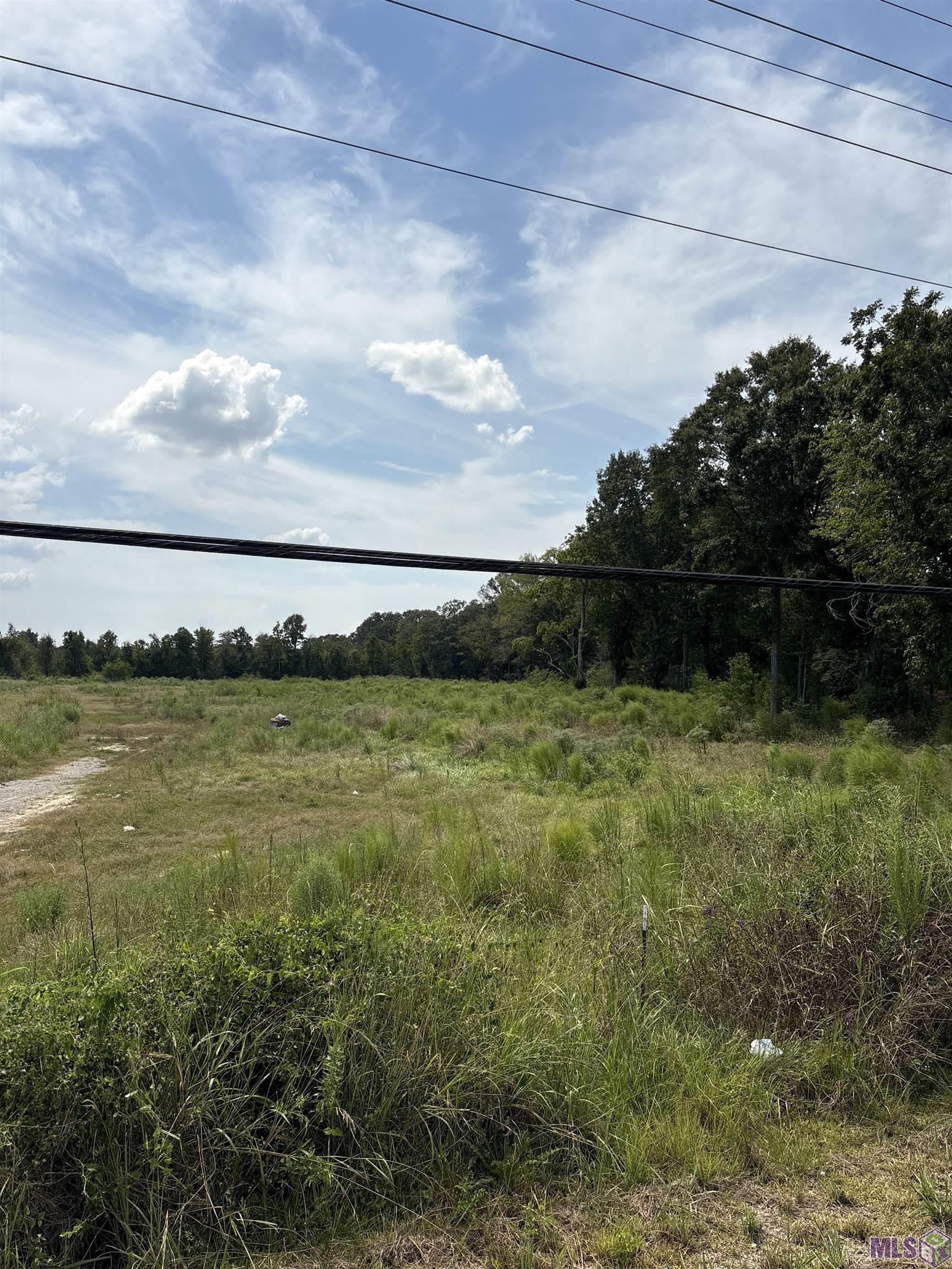 Tbd Lower Zachary Road Zachary, LA 70791 - Photo 5 of 7