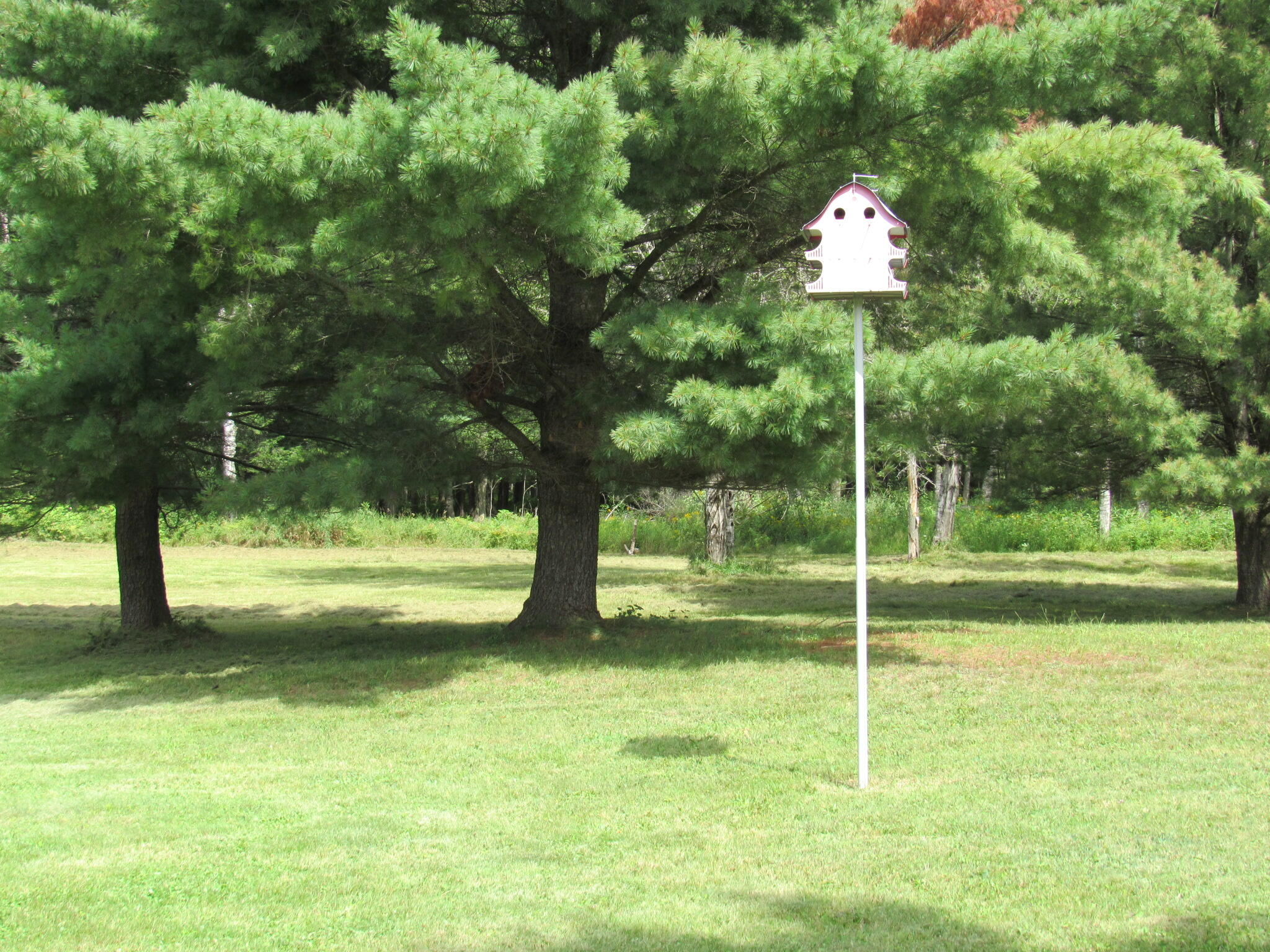 8876 Chase Bridge Road Roscommon, MI 48653 - Photo 54 of 56 Gallery Image 54