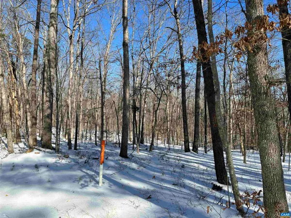 $250,000 | 2 Beaverdam Road, Keswick, VA 22947