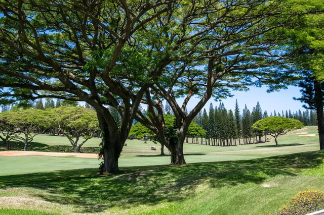 a en suite bathroom with a granite countertop sink and a large mirror