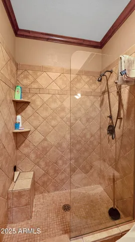 a bathroom with a shower and a sink