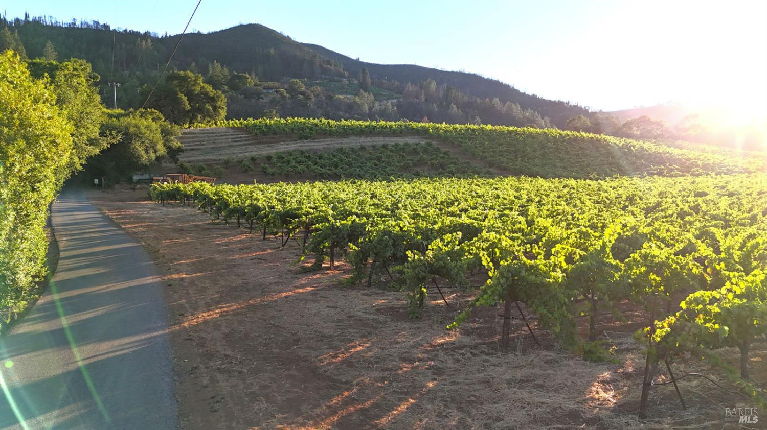 8207 West Dry Creek Road Healdsburg, CA 95448 - Photo 12 of 15