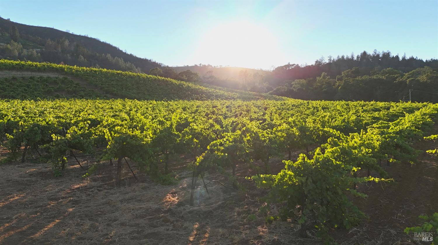 8207 West Dry Creek Road Healdsburg, CA 95448 - Photo 13 of 15