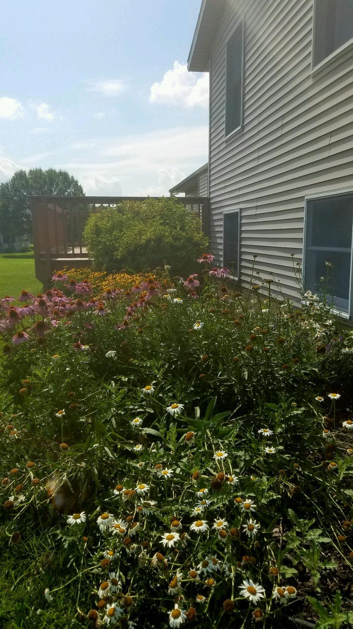 734 Ghormley Road Washington Court House, OH 43160 - Photo 13 of 39 734 ghorm back landscape 2