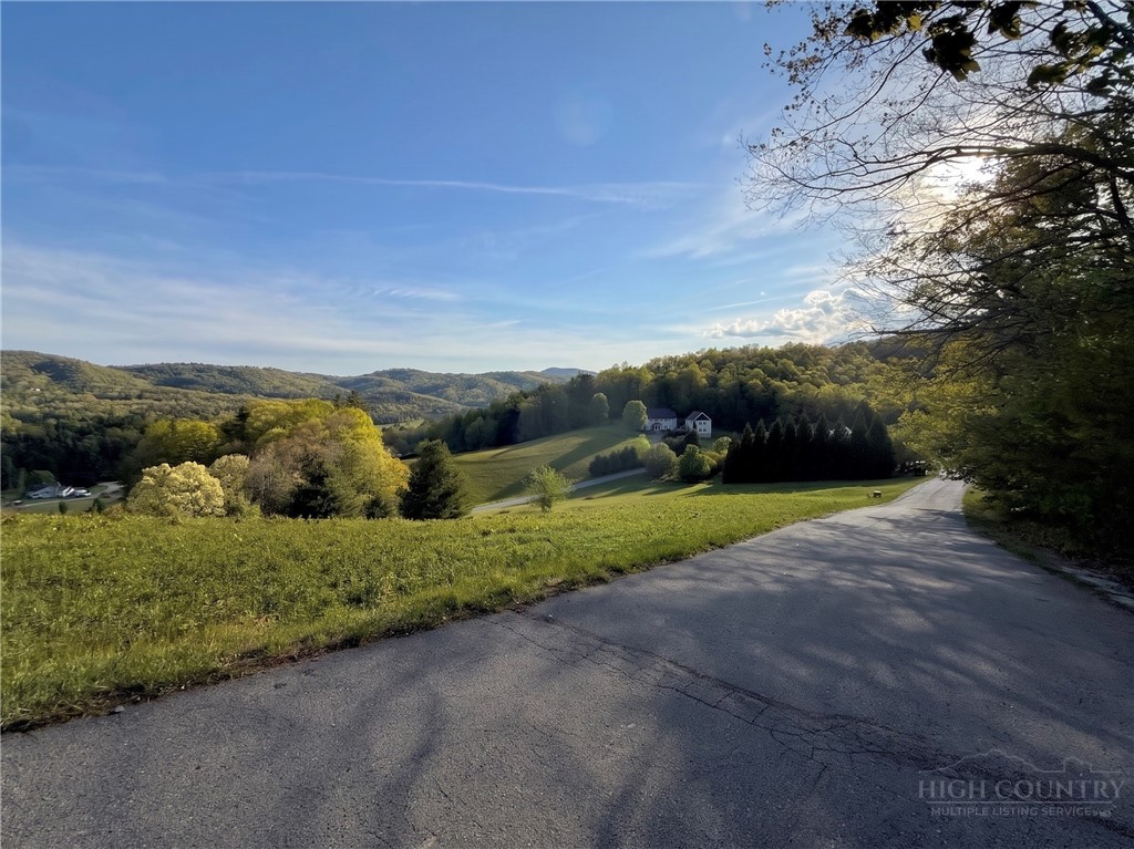 Lot 27 Hartley Knob Road Boone, NC 28607 - Photo 5 of 15