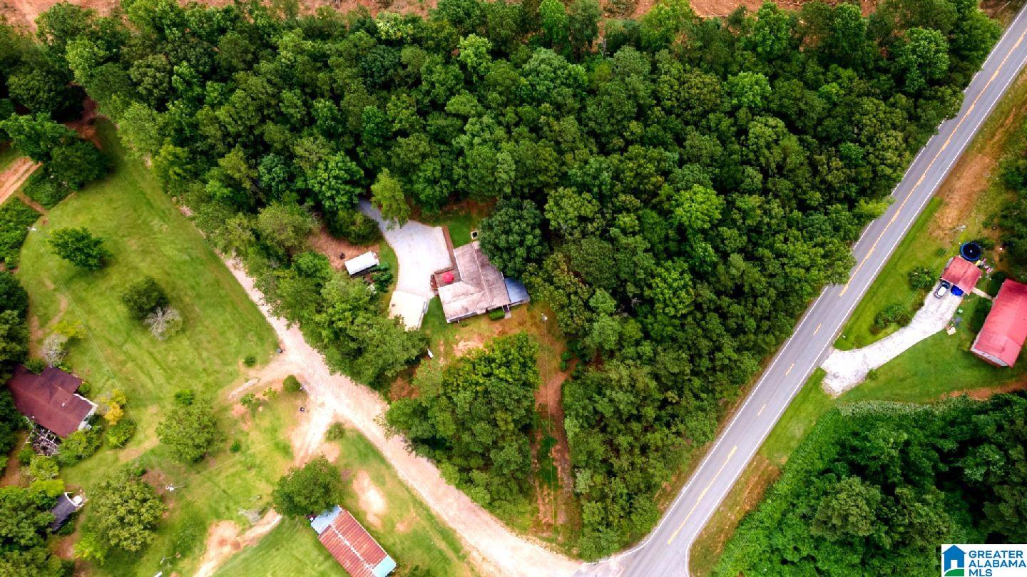 76 Ford Lane Lineville, AL 36266 - Photo 10 of 46