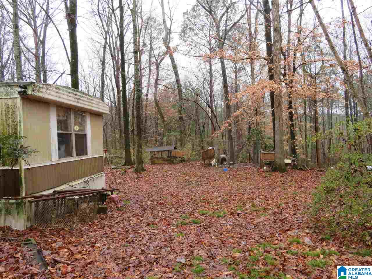 138 Cedar Grove Road West Blocton, AL 35184 - Photo 12 of 44