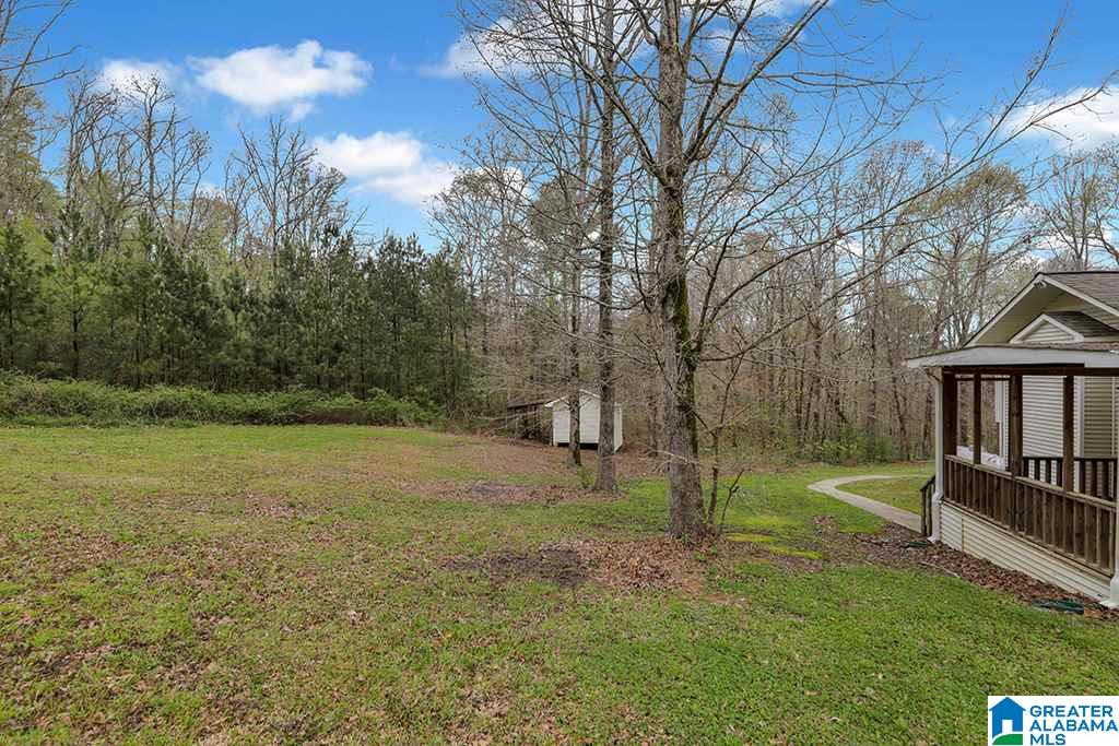 178 Dorr Road Oneonta, AL 35121 - Photo 18 of 18
