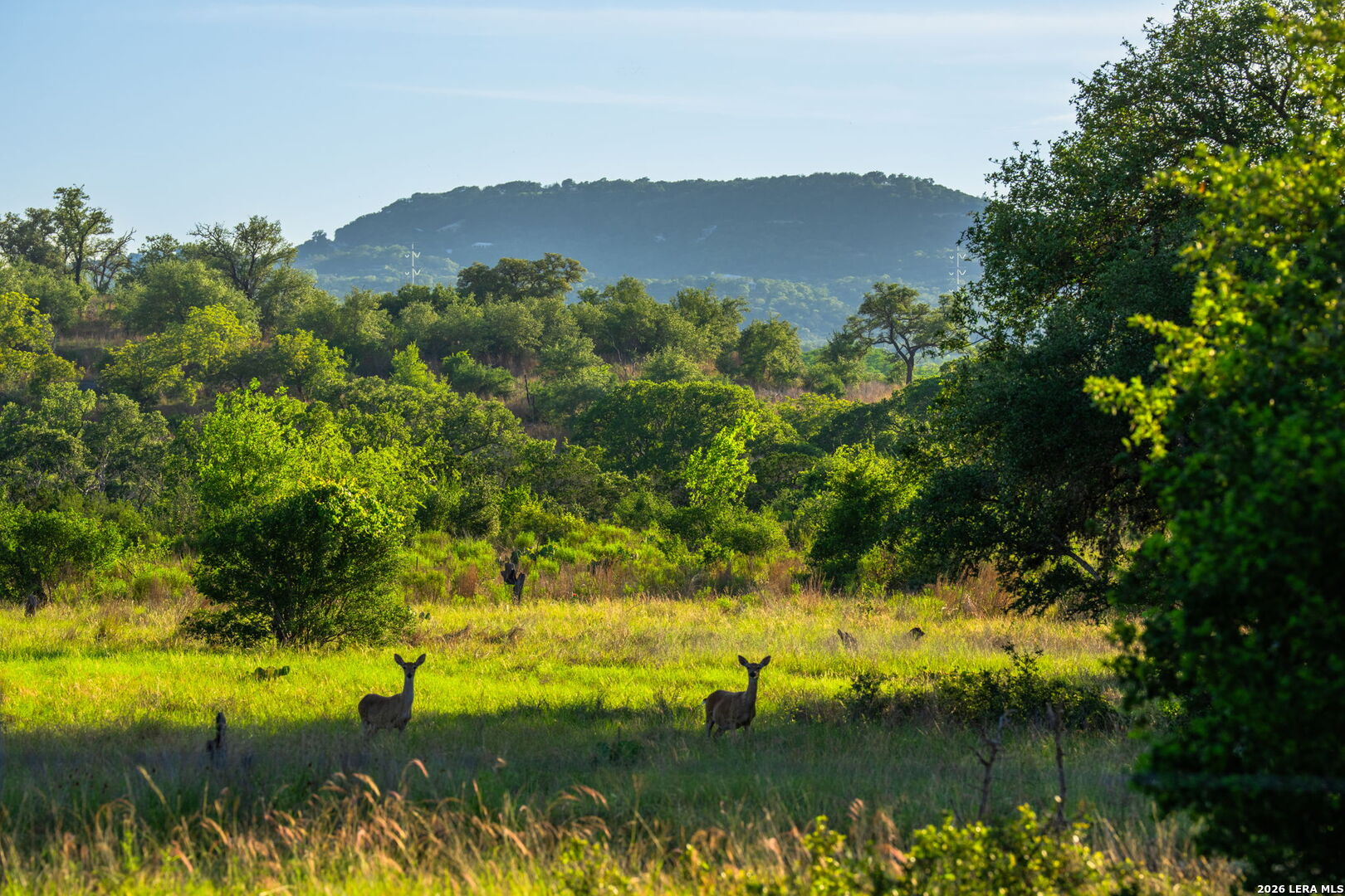 190 A Richter Road Boerne, TX 78006 - Photo 22 of 50