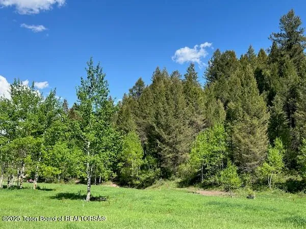 $2,400,000 | 100 Skyline Drive, Afton, WY 83110