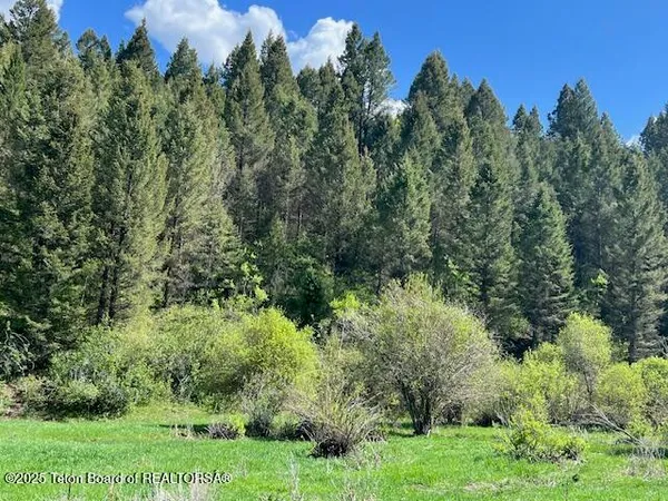 $2,400,000 | 100 Skyline Drive, Afton, WY 83110