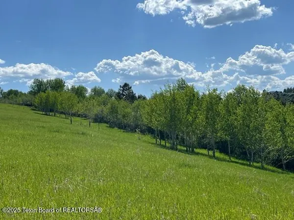 $2,400,000 | 100 Skyline Drive, Afton, WY 83110