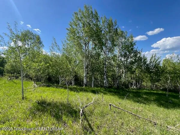 $2,400,000 | 100 Skyline Drive, Afton, WY 83110