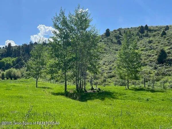 $2,400,000 | 100 Skyline Drive, Afton, WY 83110