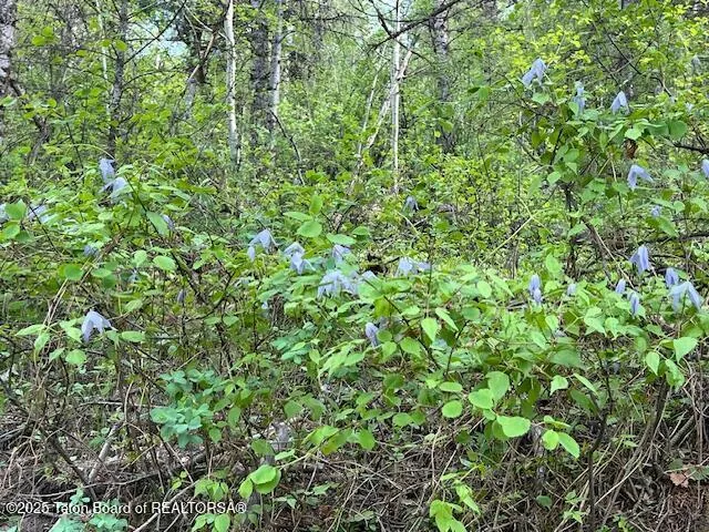 $2,400,000 | 1-2 Skyline Drive, Pinedale, WY 82941