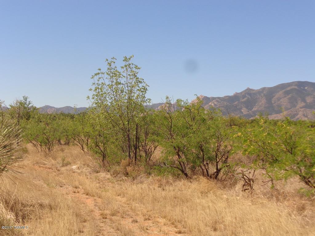 North Cochise Stronghold Road Cochise, AZ 85606 - Photo 4 of 10