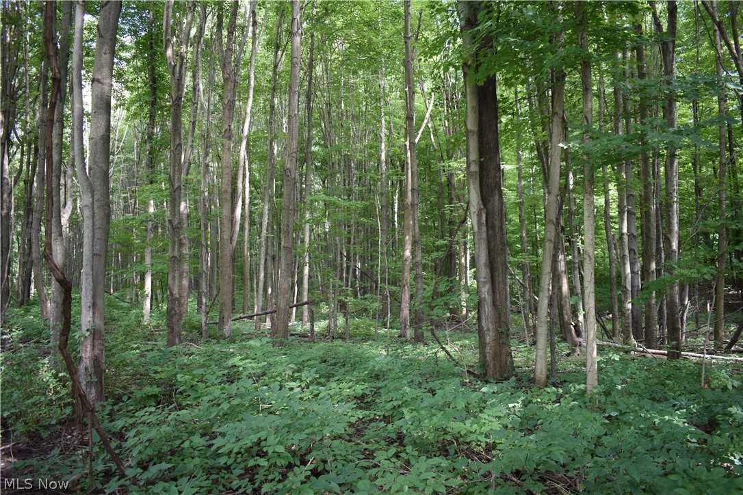 1000 State Road Kingsville, OH 44048 - Photo 20 of 29 Gallery Image 20