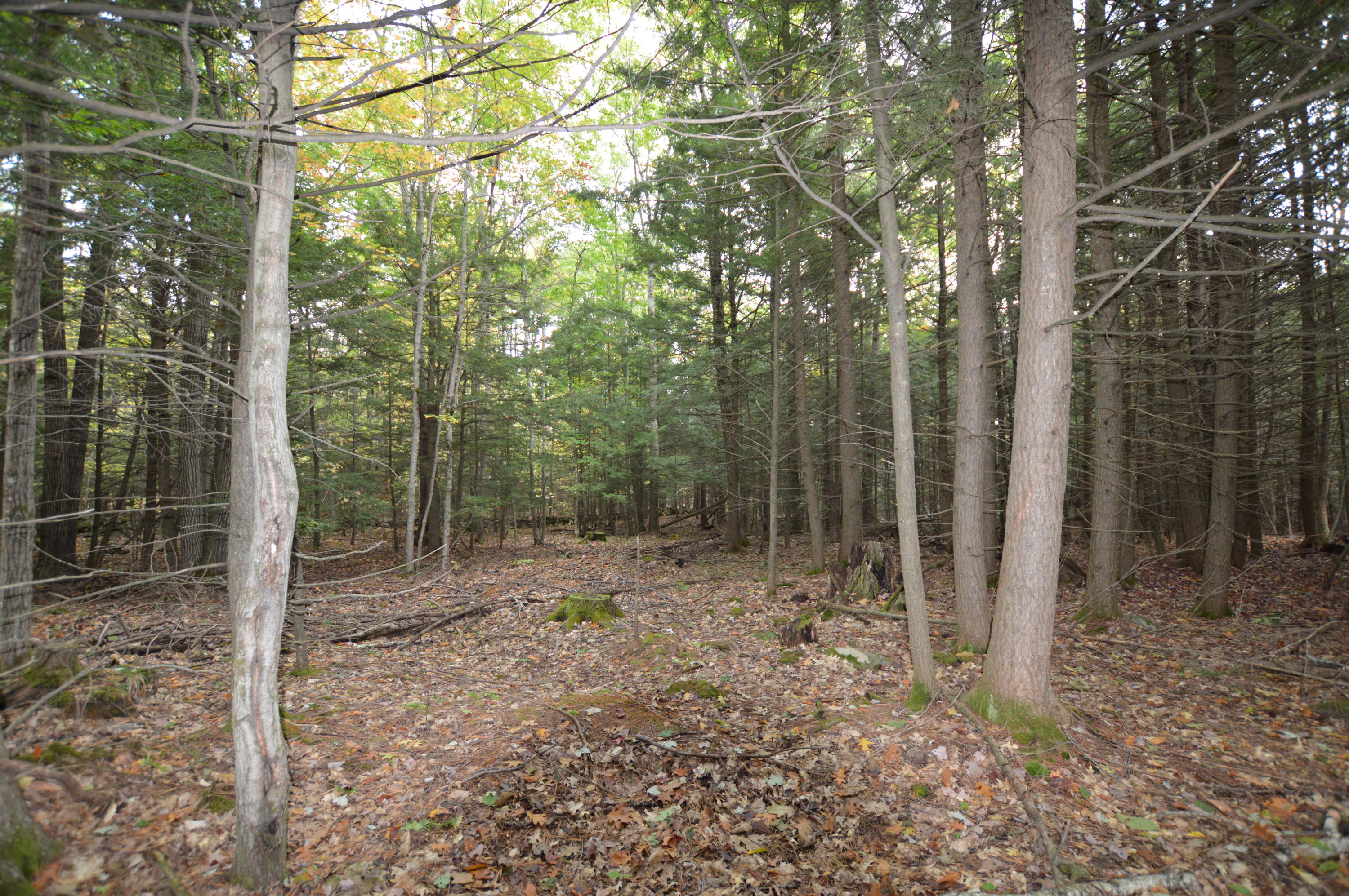 0 Soper Road Winthrop, ME 04364 - Photo 8 of 31 DSC_1410
